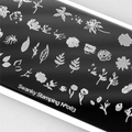 Пластина для стемпинга Swanky Stamping №63 SS063