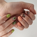 Пластина для стемпинга Swanky Stamping №74 SS074