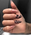 Пластина для стемпинга Swanky Stamping №85 SS085