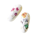 Слайдер дизайн COLORFUL №161, IBDI Nails id/COLORFUL161