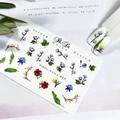 Слайдер дизайн №417, IBDI Nails id/417