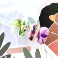 Слайдер дизайн №518, IBDI Nails id/518