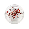 Стразы в баночке №09, красные bl/Sb-09(Rd) - фото 553745