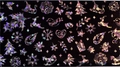 Фольга переводная Zoo Nail Art №1457 новогодняя черная серебро, 4*50 см zn/1457
