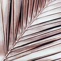Фотофон №44   44,5*45 см FF-44