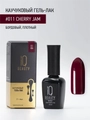 Каучуковый гель-лак IQ BEAUTY №011 с кальцием, 10 мл IQGP011