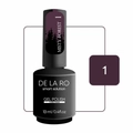 Гель-лак Delaro Misty Forest 01, 10 мл Del/mf01