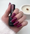 Гель-лак Delaro Misty Forest 10, 10 мл Del/mf10