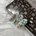 Пластина Swanky Stamping №111 SS111