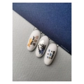 Пластина Swanky Stamping №111 SS111