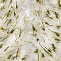 Гель для ногтей декоративный Ta2 BOTANIC CLEAR (ботанический прозрачный ), 5гр TA-BGC