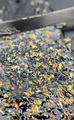 Акригель ruNail ELASTONE GEL glitter mix №7055, 18 мл 7055