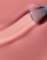 Лак для ногтей IQ Beauty укрепляющий с биокерамикой PROLAC+bioceramics, 12,5 мл (048 ForeverYou) IQNP048